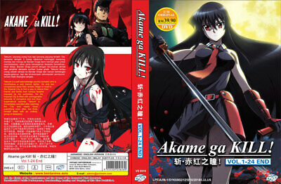 Where to watch Akame ga Kill! TV series streaming online