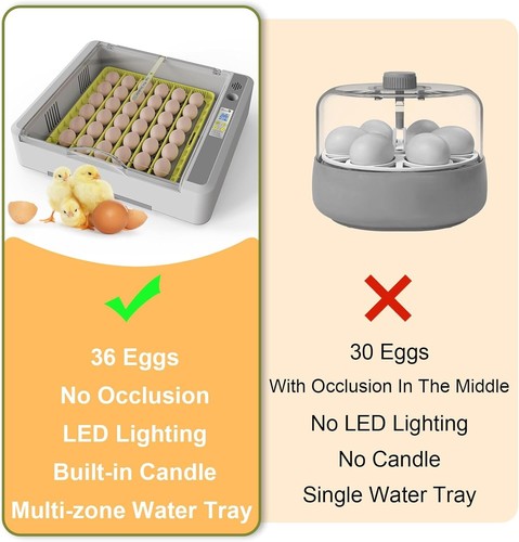 Automatica Incubadora De 36 Huevos Encubadora Gallina Pato Egg Incubator - Picture 10 of 10