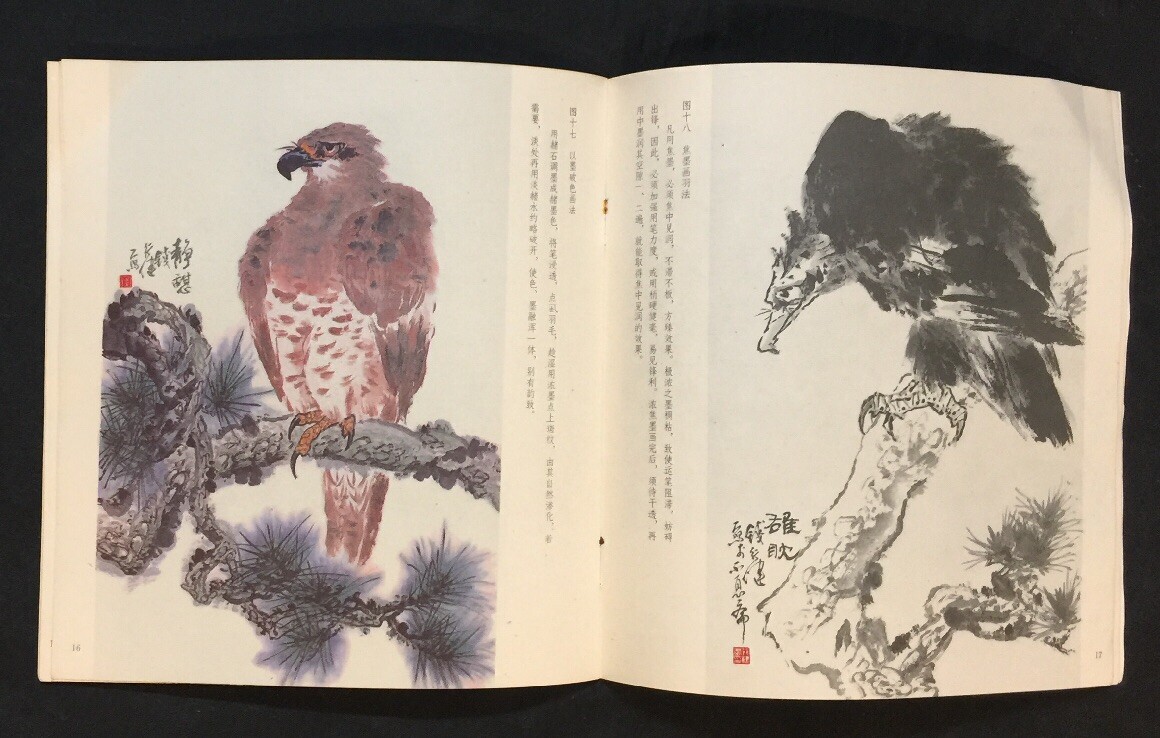 1993 中国画技法入門怎样画鹰 Chinese painting art book how to draw