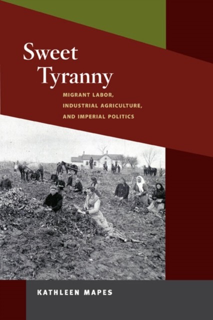 Sweet Tyranny by Kathleen Mapes PAPERBACK 9780252076671