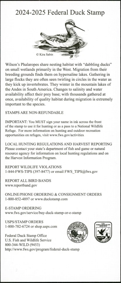 RW91B 2024 -  E  STAMP  Federal Duck Stamp  Similar to RW91A SCARCE MINT NH - Image 3 of 3