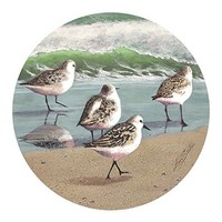 Thirstystone Drink Coaster Set, Sandpiper Parade, New, Free Shipping on sale Thirstystone Drink Coaster Set, Sandpiper Parade, New, Free Shipping on sale