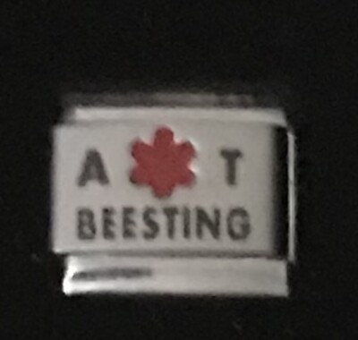 Medical Allergic To Beesting 1 WHOLESALE ITALIAN CHARM Link 9MM K2022BG7