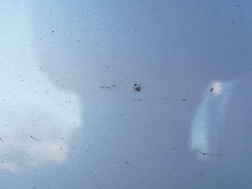 2008 - 2015 Smart Fortwo Door Shell Panel Cover Exterior Right Passenger Side Foto 4 de 4