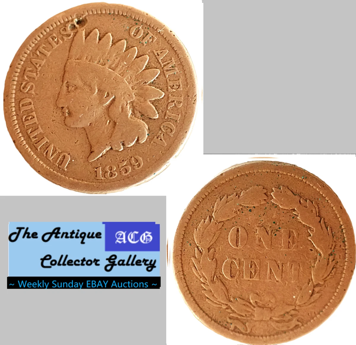 1859 Year Indian Head Small Cents (1859-1909) for sale | eBay