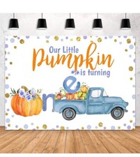 Our Little Pumpkin Is Turning One Birthday Backdrop 8x6