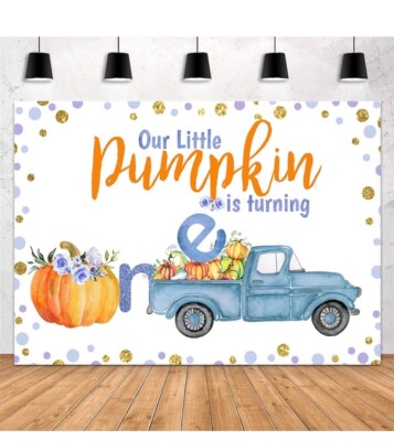 Our Little Pumpkin Is Turning One Birthday Backdrop  8x6