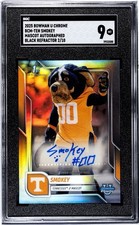 2025 Bowman University Chrome - Smokey #BCM-TEM *Vols Mascot 🔥MINT