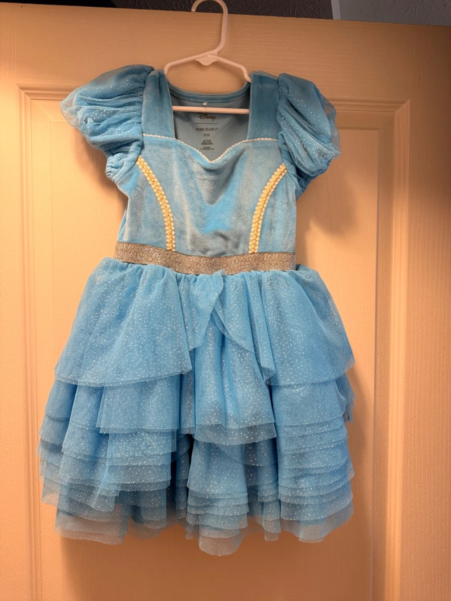 Disney Princess Short Sleeve Blue Dresses for Girls for sale