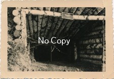 Foto Wehrmacht Bunker Unterstand "Rechner" Birkenholz Ru&szlig;land Front WK2 X259