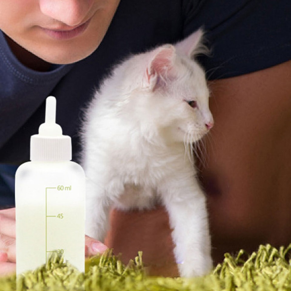 Newborn Baby Bottle Kittens Nursing Puppy Supplies Pet Feeding Tool eBay