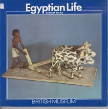 Egyptian Life By Miriam' 'Stead