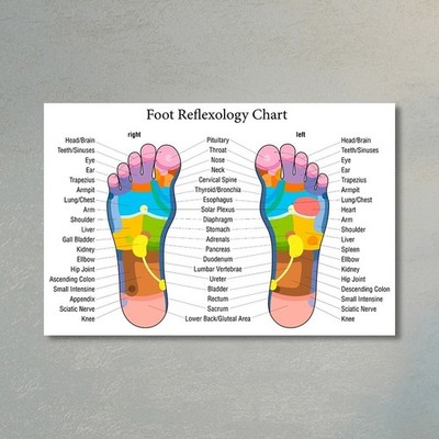 Human Health Foot Reflexology Anatomy Chart Canvas Prints Poters Wall Art