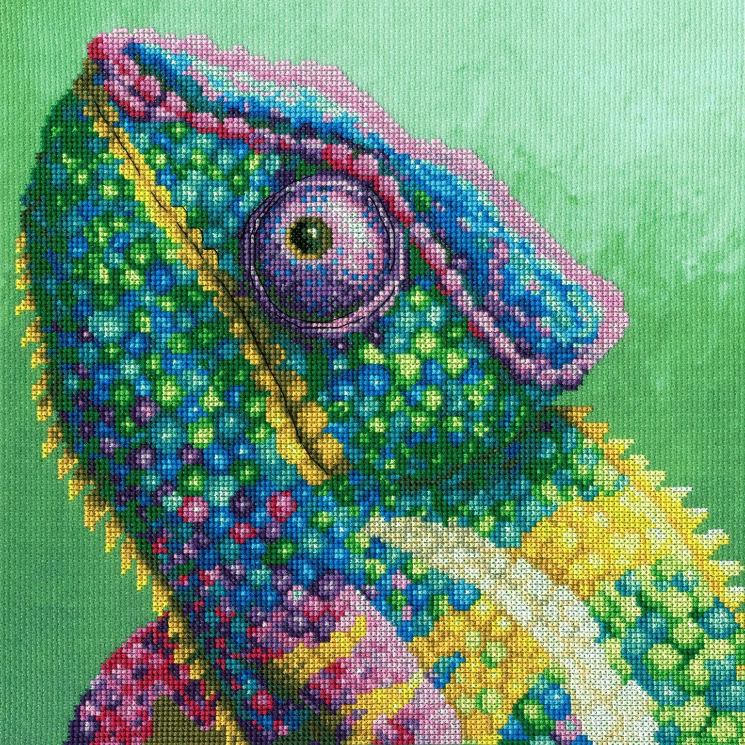 Bothy Threads The Menagerie - Illusion Cross Stitch Kit by Rachel Froud