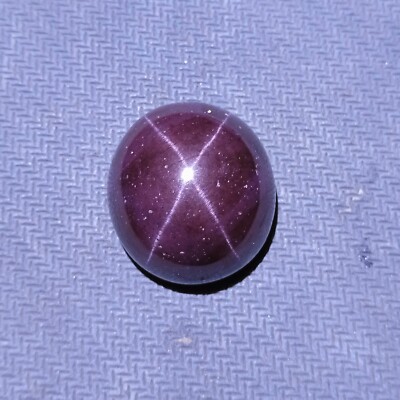 75 Ct 23.2x21.2x12.6 MM Natural 4-Ray Star Purple Red Garnet Oval Cabochon