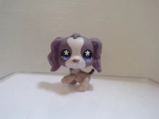 Littlest Pet Shop~#672~Cocker~Puppy Dog~Purple Gray~Flower Ear~Blue Flower Eyes