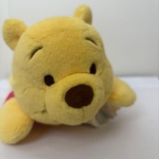 Disney Winnie the Pooh hot water Bottle