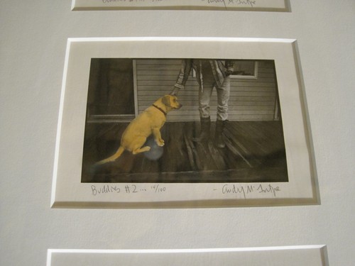 Cindy McIntyre 3 signed art photographs in one frame 13x22" - Picture 3 of 6