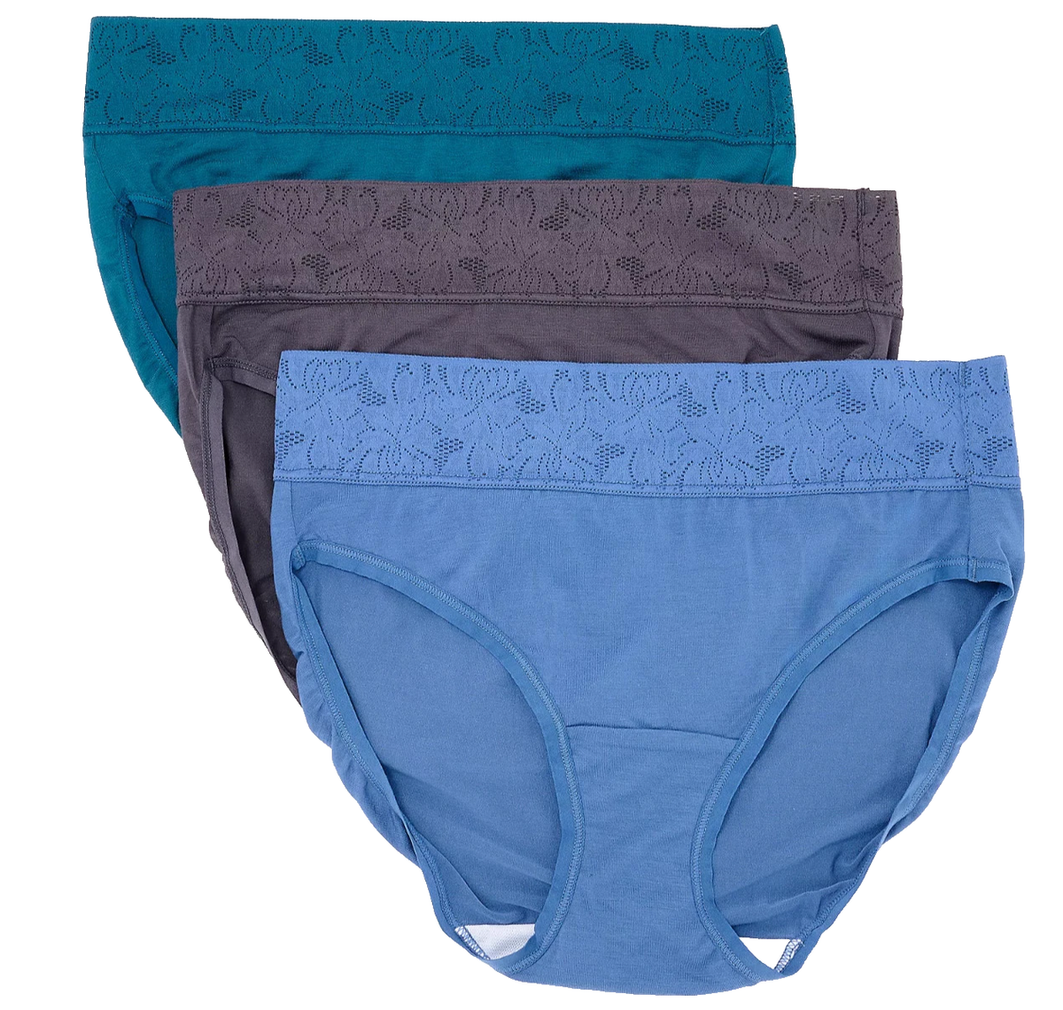 Breezies~Set of 3~Dahlia Lace Modal Hi-Cut Briefs~Large~Fashion