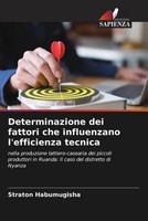 Straton Habumugisha | Determinazione Dei Fattori Che Influenzano L'efficienza...