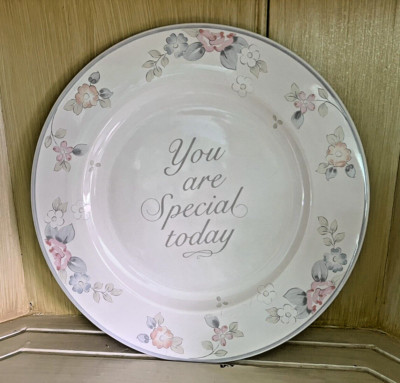 Pfaltzgraff WYNDHAM 10-5/8'' Dinner Plate ''YOU ARE SPECIAL TODAY''
