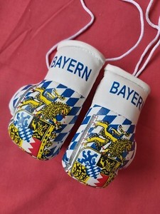 Autospiegel Anhanger Mini Boxhandschuhe Wappen Freistaat Bayern Ruckspiegel Ebay