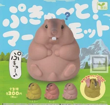 Pukyuu! Marmot  animal Complete set 3 Capsule Toy Gacha NEW
