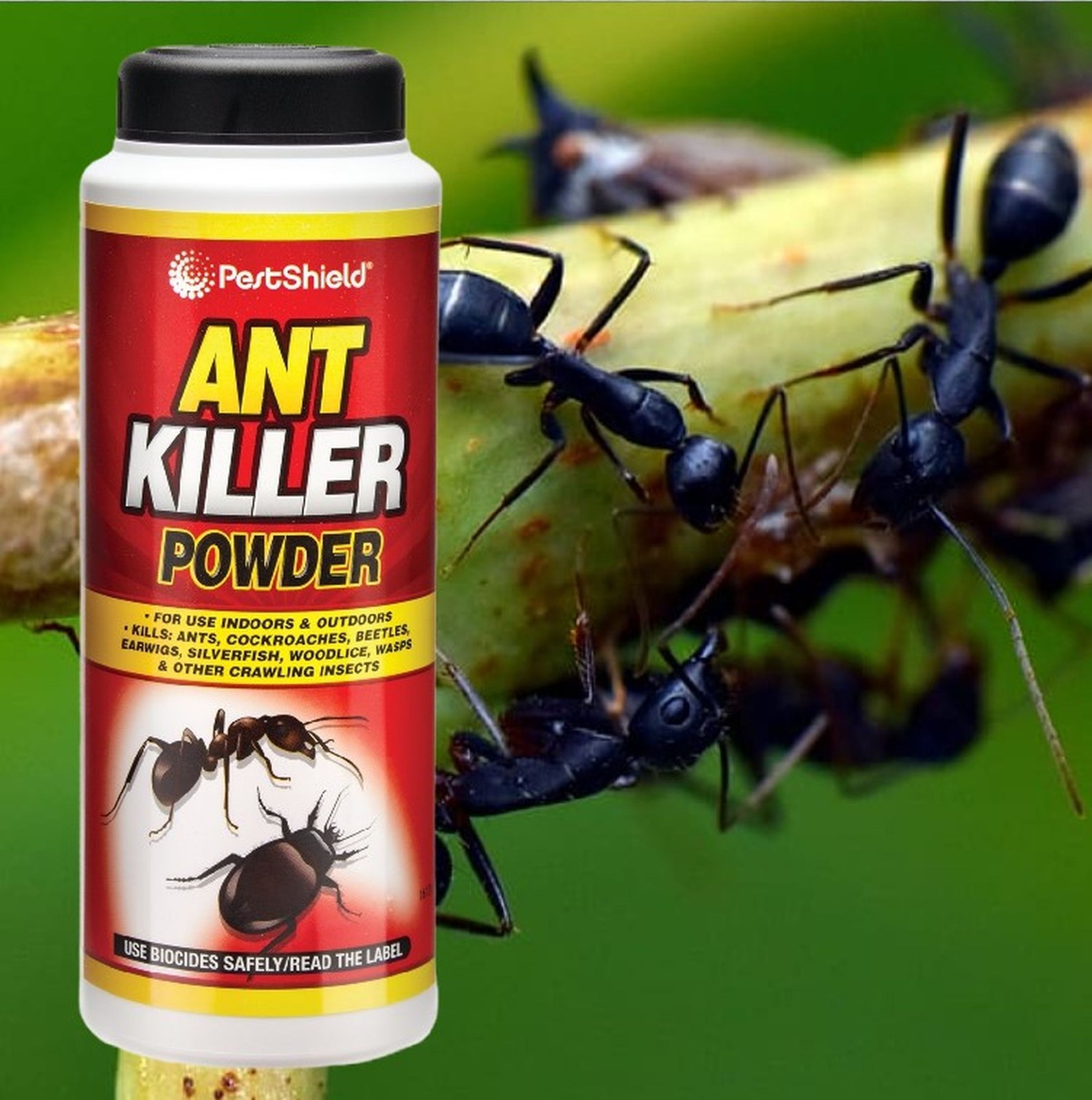 Ant Killer Powder Crawling Insect Wasp Nest Killer Pestshield Ant Powder 150g