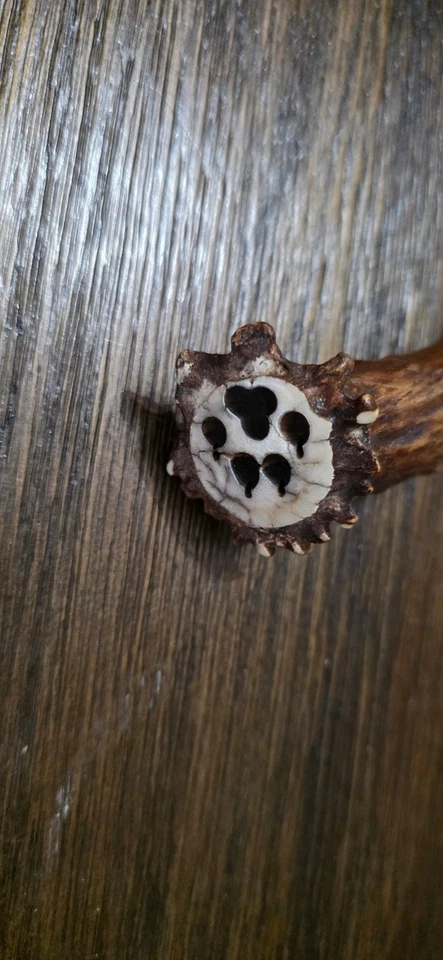 Cuchillo de hoja de obsidiana cortada hecho a mano mango de asta pata de oso pomo [179] Foto 3 de 3