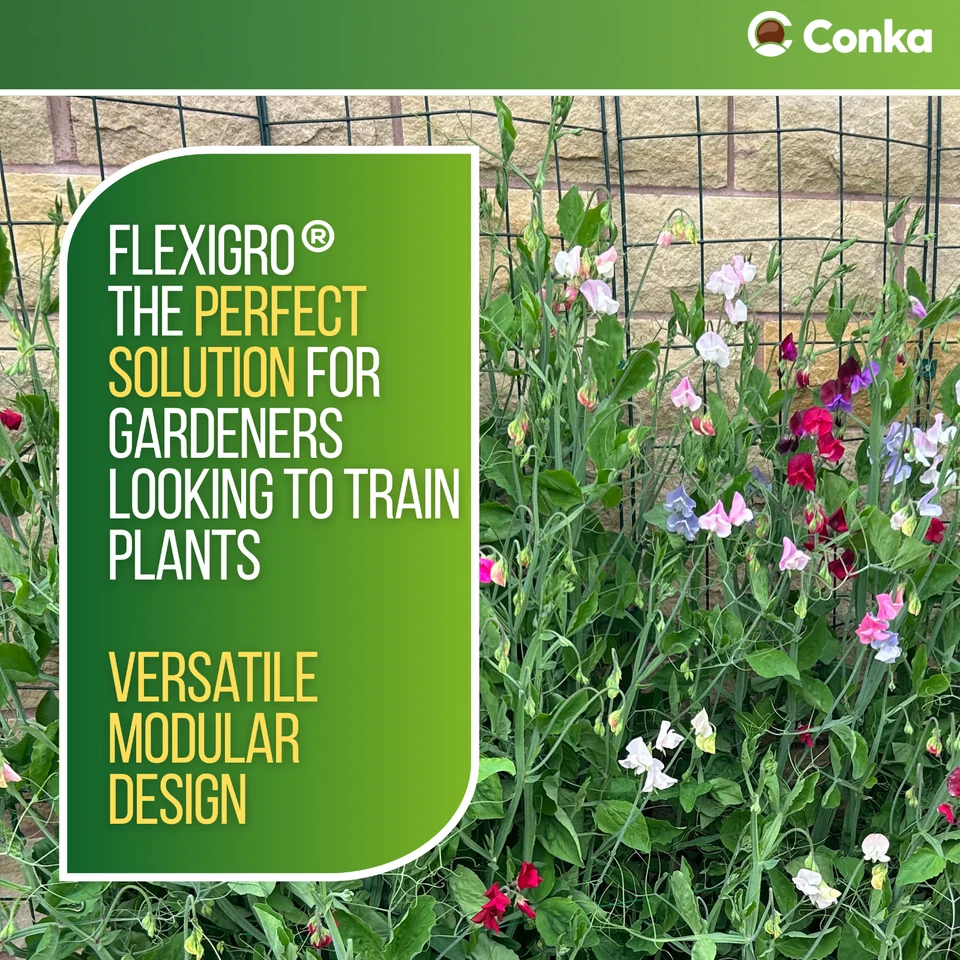 Wall Plant Support Trellis Mesh For Climbing Climbers Metal Frame Flexigro Panel - Image 4 of 4