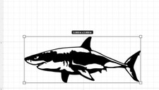 GREAT WHITE SHARK VINYL DECAL CAR WINDOW WALL LAPTOP BUMPER STICKER FISH JAWS