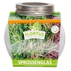 FLORTUS 2000-0407 Sprossenglas (Anzuchtschale)