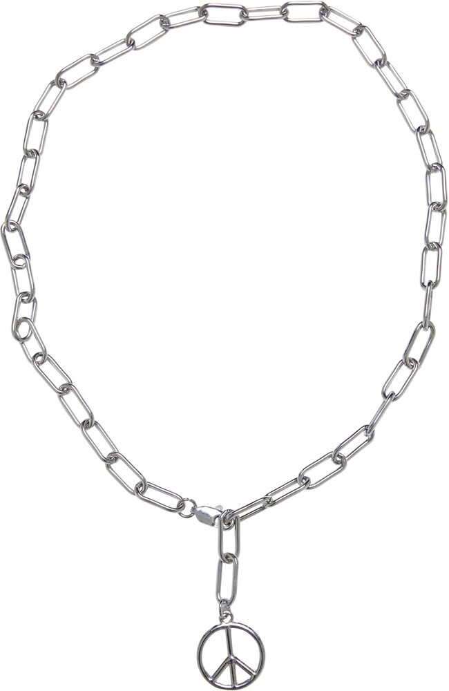 Городская классика Колье с подвеской мира на цепочке Halskette Y 3090₽