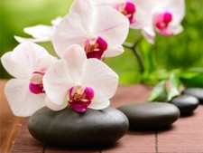 TOILE TABLEAUX  zen bien être     50X70 CM