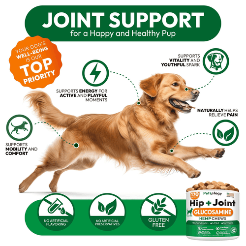 Hemp Hip and Joint Supplement for Dogs Glucosamine for Dogs 170 Mobility - Picture 4 of 8