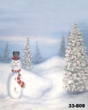 Christmas 10'x20' Muslin 100% Hand-Painted Photo Backdrop Background 33-808