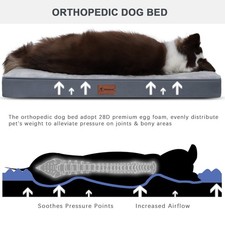 Outdoor Pet Dog Bed Orthopedic Waterproof Extra Large Memory Foam 44x32