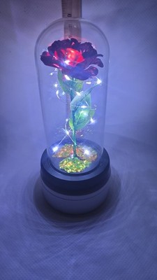 Festive Voice Light Up Enchanted Rose Dome
