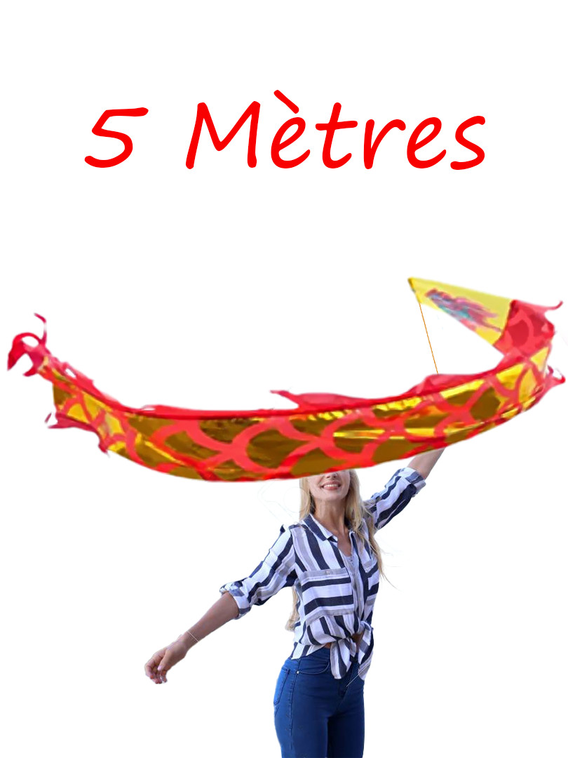 Ruban de danse du dragon 5m en soie synthétique durable pour arts martiaux