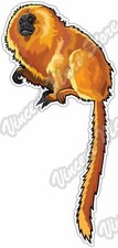 Golden Lion Tamarin African Animal Car Bumper Window Vinyl Sticker Decal 3