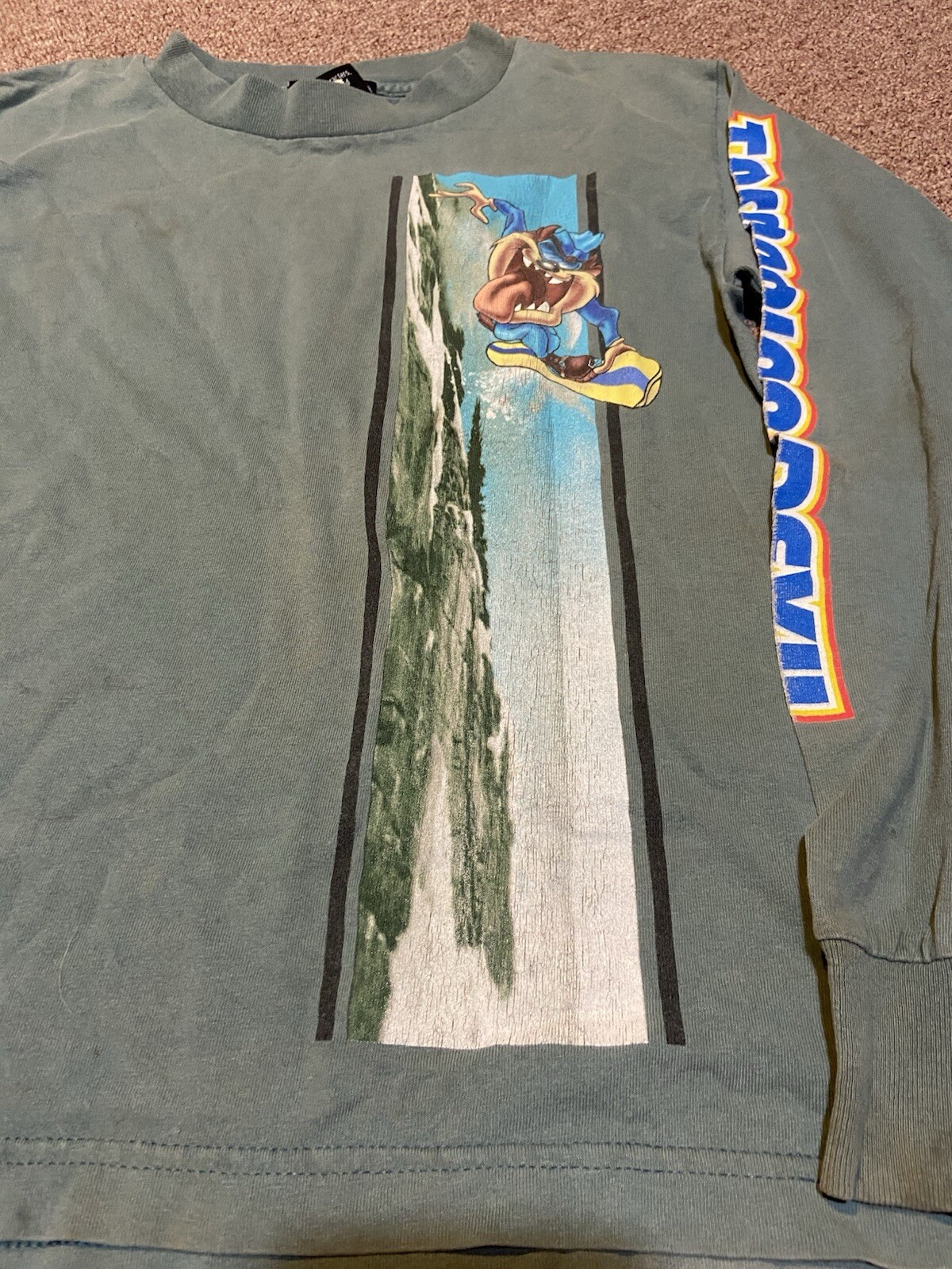 Picture 4 of 21