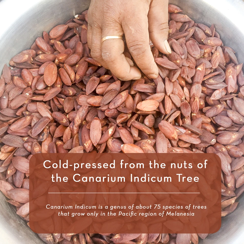 Nangai Oil, 4 fl oz - Wild Harvested and Cold Pressed - Undiluted and 100% Pure - Image 2 of 4