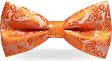 Mens Pre-tied Paisley Bow Tie for Wedding Party Adjustable Bowties