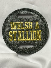 1 X 7cm Green LEATHER  WELSH A Stallion Showing Bridle Disc Badge Disk