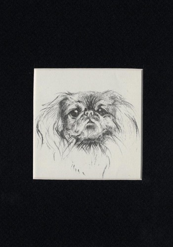 Pekingese #2 - CUSTOM MATTED - Vintage Dog Art Print - 1948 KF Barker