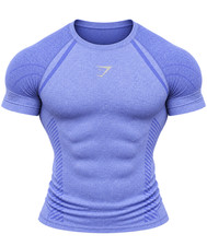 Gymshark Devant Seamless T-Shirt Amethyst Ame...