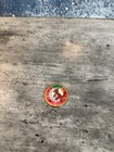 Chameleon Pog Pokémon Rare Coin — photo 1