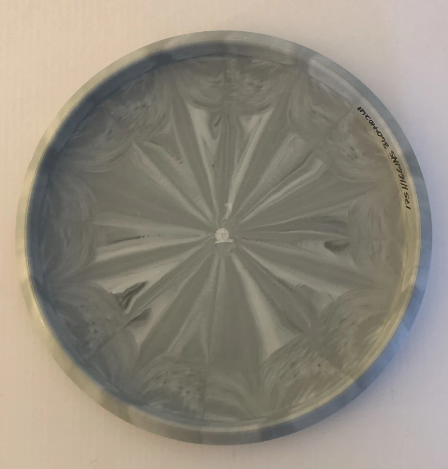 Dynamic Discs Warden Putter Gray With Red Foil 175 Grams - Image 2 of 4