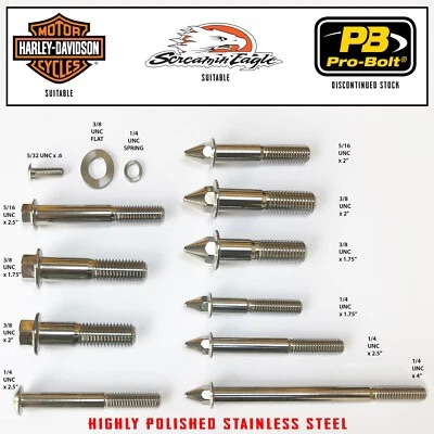 PRO BOLT Harley Davidson Stainless Steel Bolts. Polished UNC