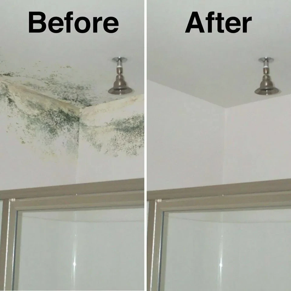 4 x ANTI MOULD SPRAY PAINT 400ML FOR WALLS CEILING PROTECTION METAL WOOD PLASTIC - Image 2 of 4